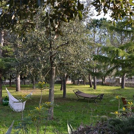 Lavanda Apartment - Villaggio Di Mary Locorotondo Luaran gambar