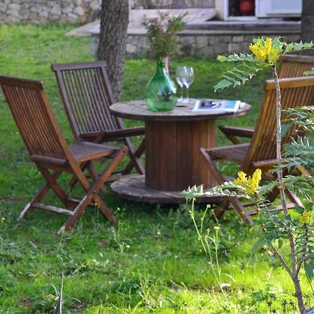 Lavanda Apartment - Villaggio Di Mary Locorotondo Luaran gambar